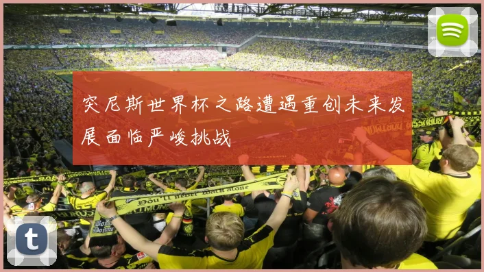 突尼斯世界杯之路遭遇重创未来发展面临严峻挑战