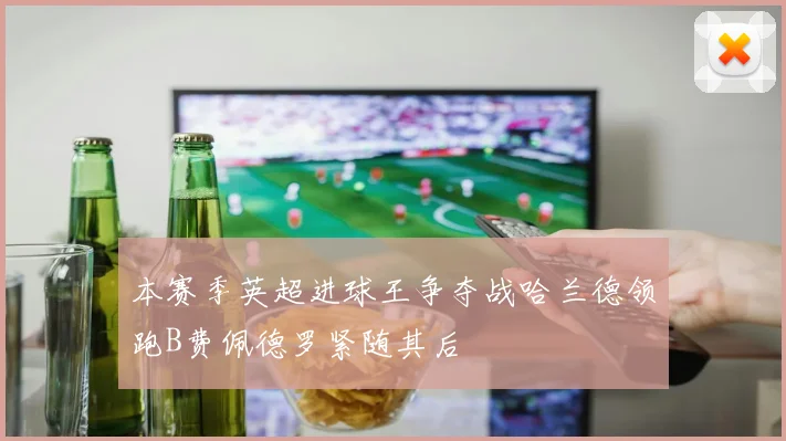 本赛季英超进球王争夺战哈兰德领跑B费佩德罗紧随其后