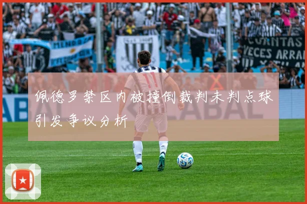 佩德罗禁区内被撞倒裁判未判点球引发争议分析
