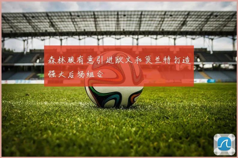 森林狼有意引进欧文和莫兰特打造强大后场组合